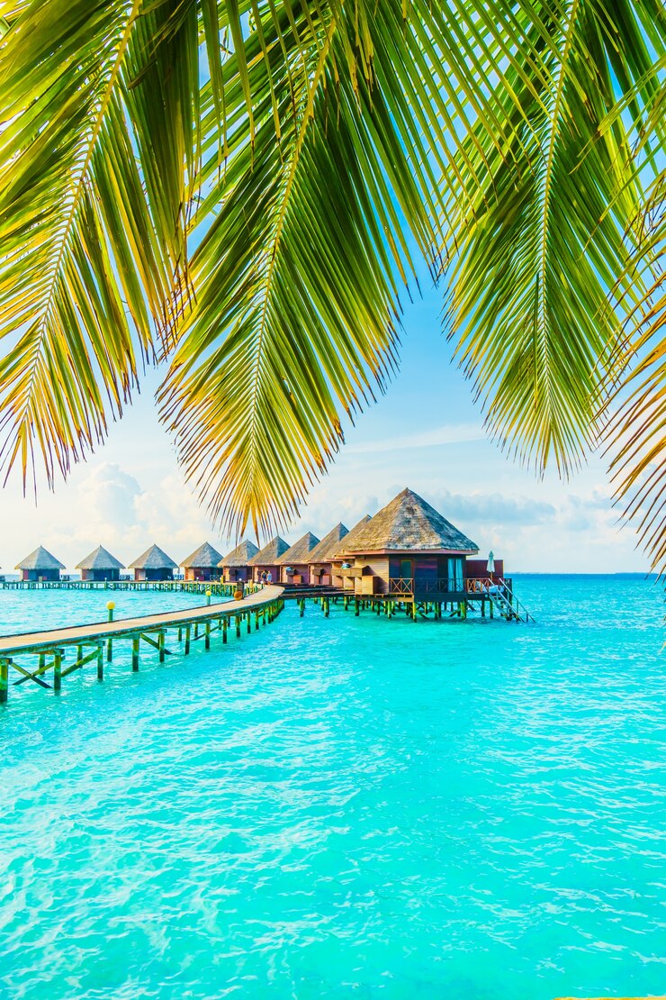 Maldives Package