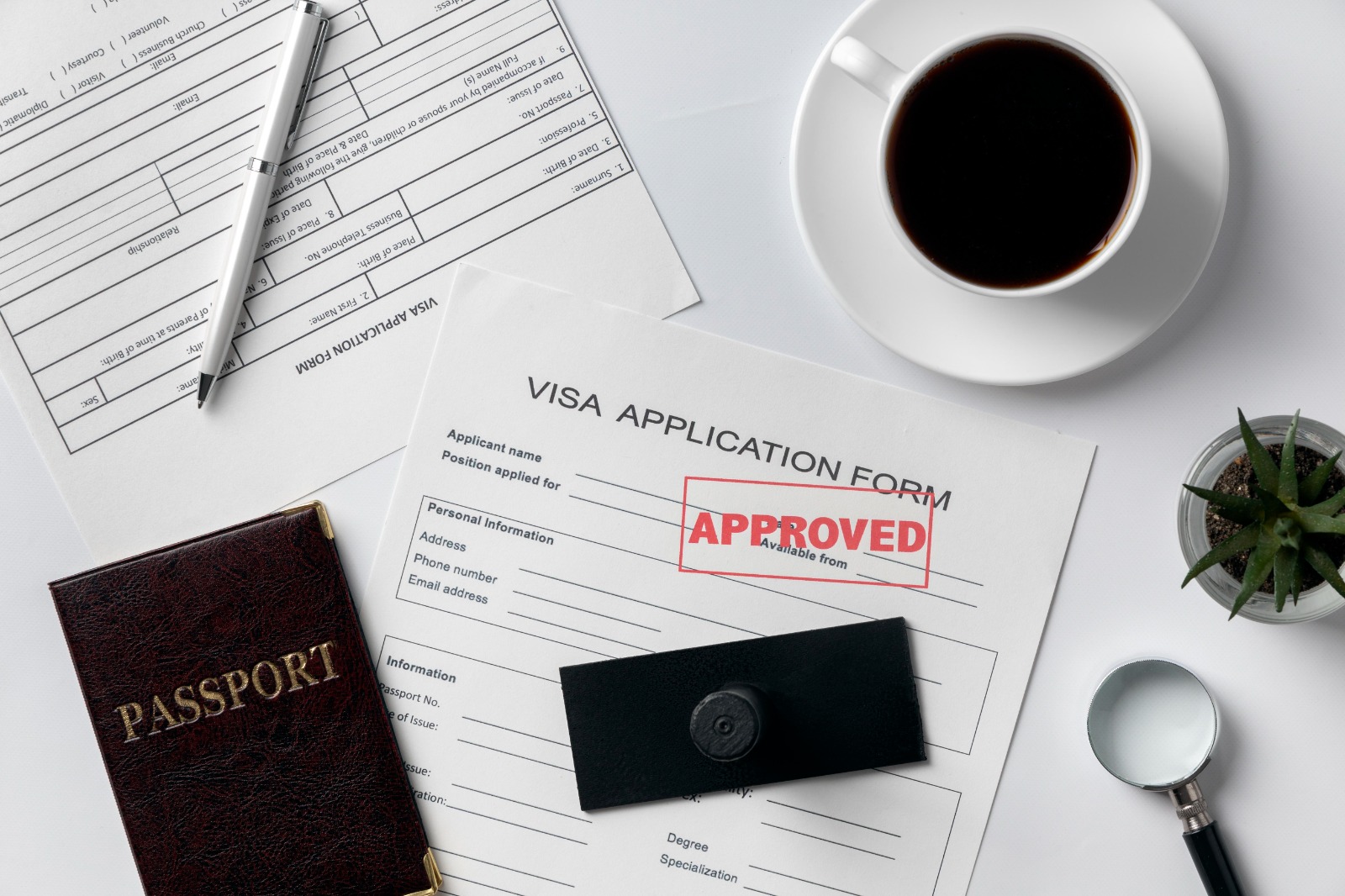 Visa Expert