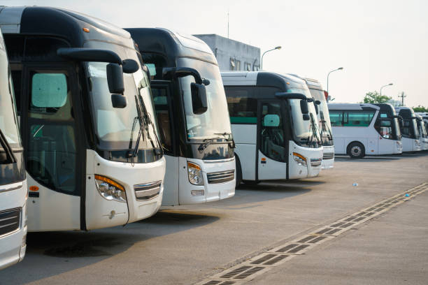 Transportation Expert